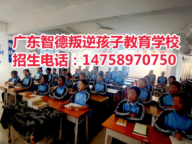 广东智德叛逆孩子教育学校